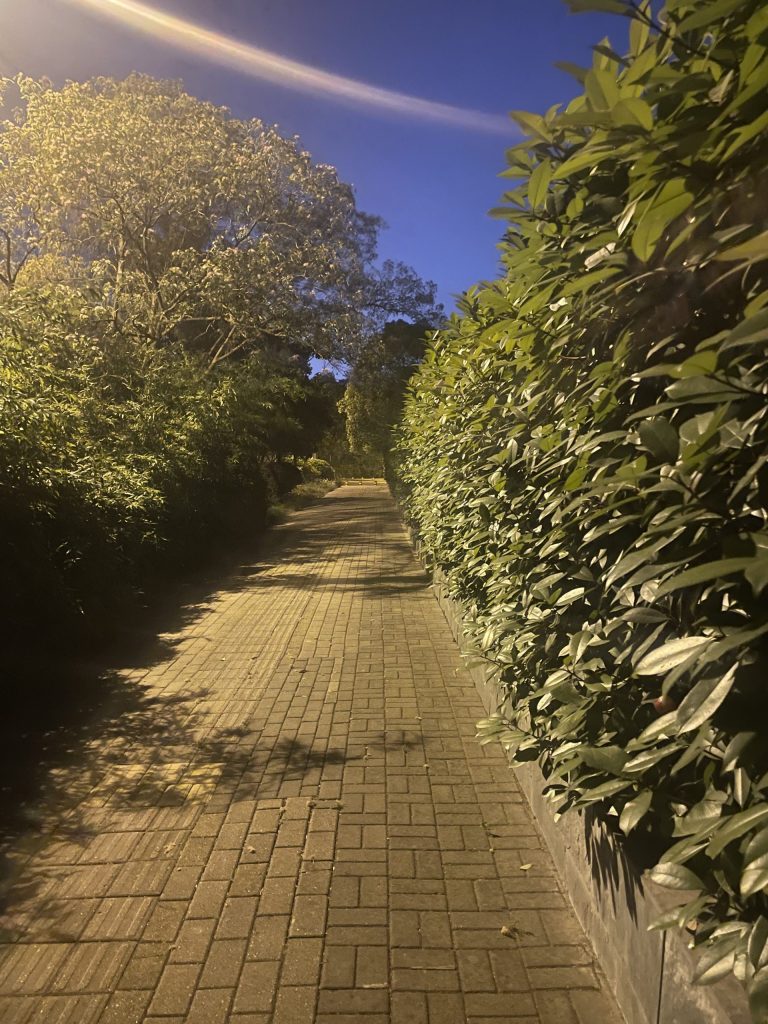 散步
