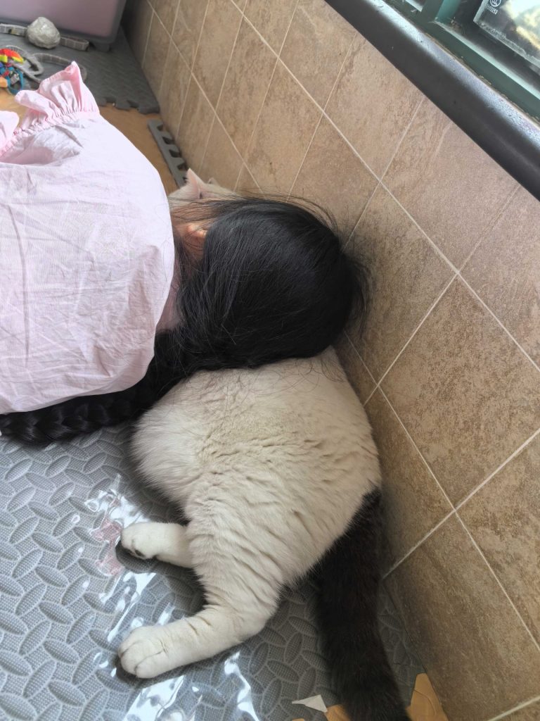 献给儿子，献给小白